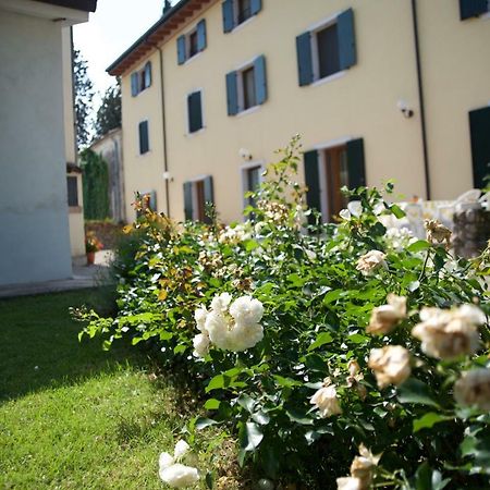 Agriturismo Albarello Sona Exterior foto